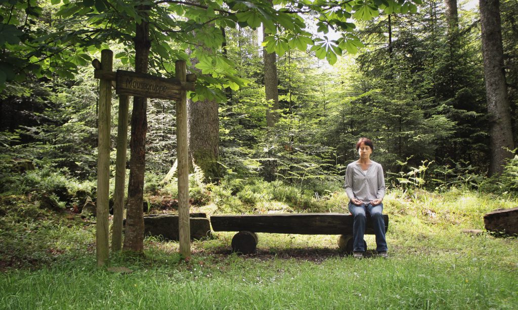 Atemübung im Wald führt zur Entspannung