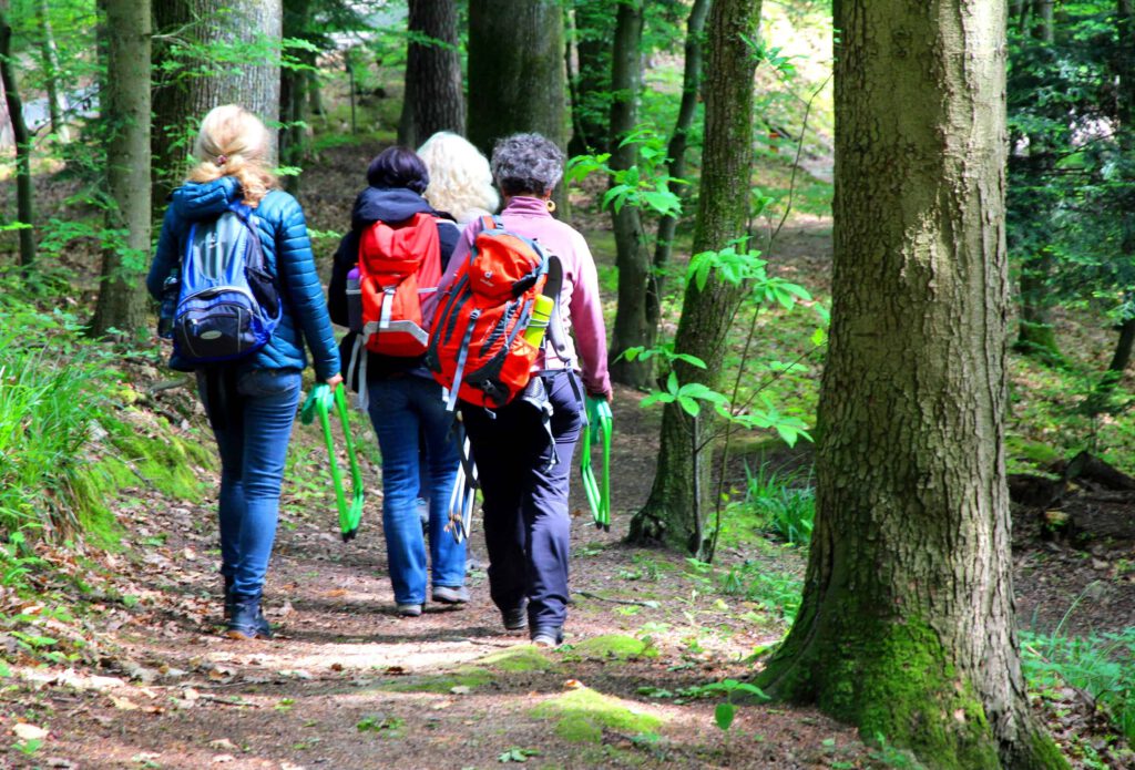 Waldbaden Shinrin Yoku Ausbildung