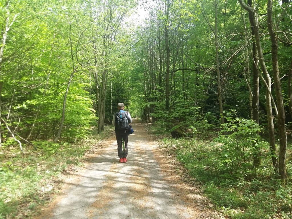 Achtsamkeitstraining im Wald 