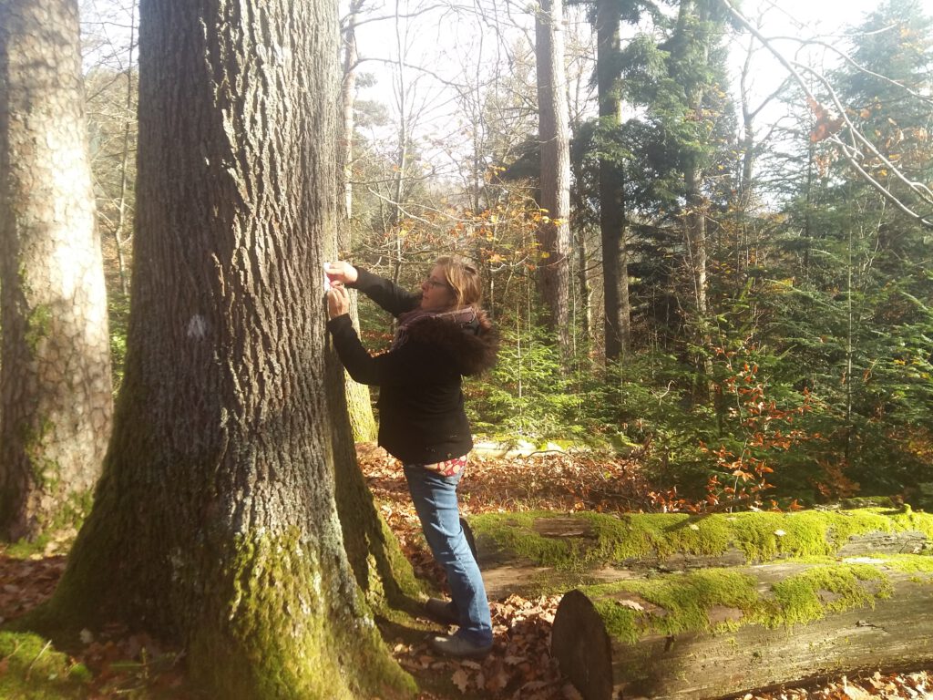 Waldbaden im Kloster