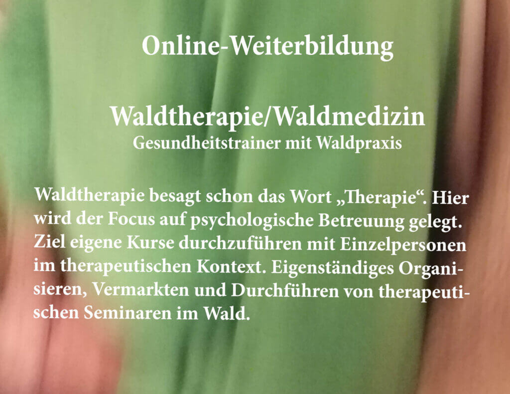 Online-Ausbildung Waldtherapie